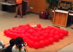 Happiest dog breaks World Record by popping 100 balloons less than 40 seconds