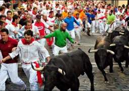 Bull fighting in Spain, eight injured