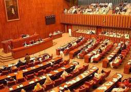 Senate passes resolution to express solidarity with Turkish people, Govt