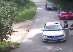 Tiger attacked a woman in Beijing, China