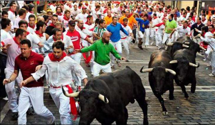 Bull fighting in Spain, eight injured