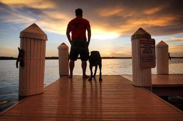 A dog was taken to her Farewell tour by his Master when diagnosed cancer