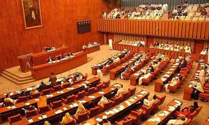 Senate passes resolution to express solidarity with Turkish people, Govt