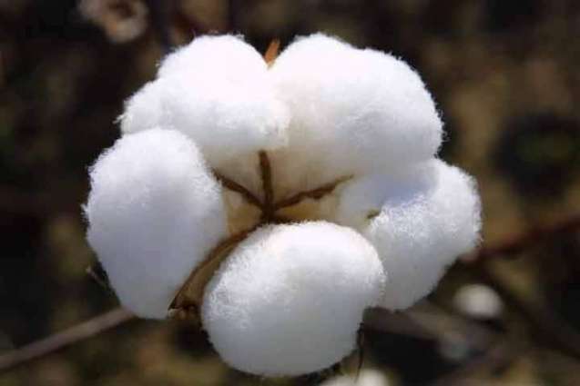 Spot rates of cotton (Crop 2015-2016)