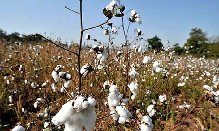 KCA for witdrawal of duties, taxes on import of cotton