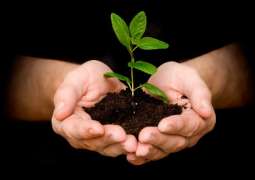The Monsoon Tree Plantation campaign starting today in Punjab