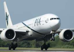 Bird bumped into aircraft traveling to Lahore from New York