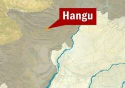 Hangu: Truck and car collision, 2 killed in accident