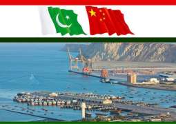 وزير الدولة ورئيس هيئة الاستثمار في باكستان: الممر الاقتصادي الباكستاني الصيني سيجذب الاستثمار الدولي