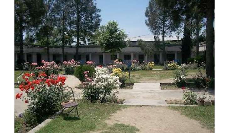 Lieutenant Colonel addresses to Students of first year in Lower Dir