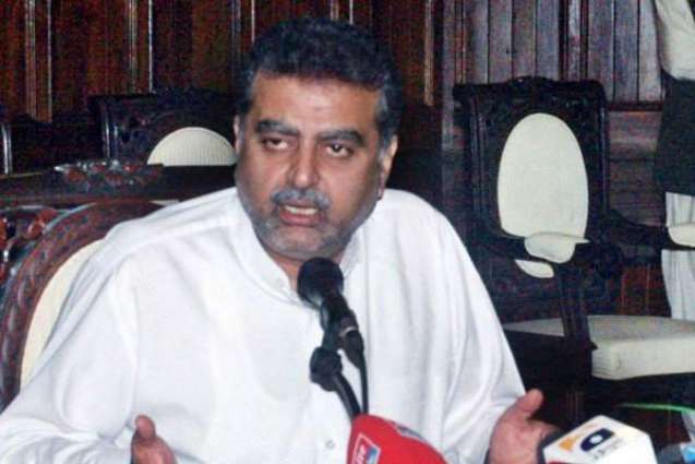Karachi operation symbolizes govt's policy of consensus: Zaeem