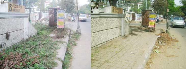 Wild bushes on footpaths irks residents