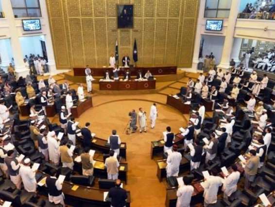 Govt's successful actions under NAP isolated terrorists, restored peace 
in KP: Lawmakers