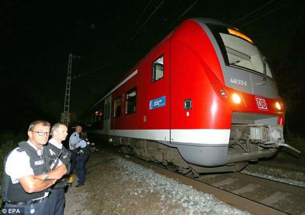 Man attacks Swiss train passengers with fire, knife, injures 6: police