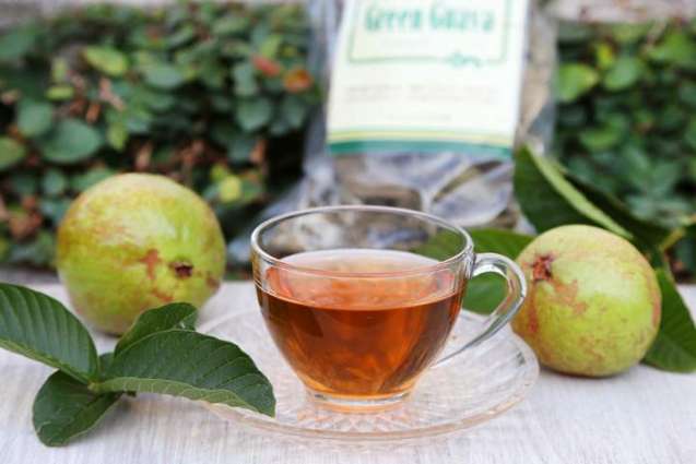 Guava leaf tea prevents from gastrointestinal, circulatory and heart diseases, said US health experts