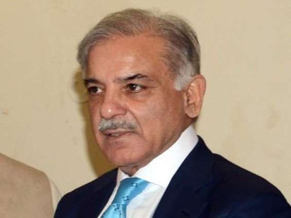 Collective efforts required to root out terrorism: Shehbaz Sharif