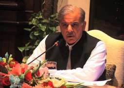 ‘Protest politics’ immensely damaged country, said CM Punjab