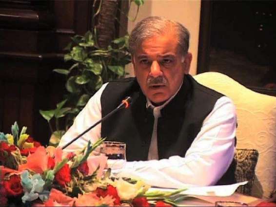 ‘Protest politics’ immensely damaged country, said CM Punjab