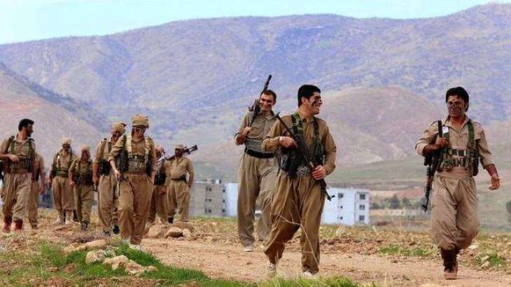 8 Kurdish rebels killed in northwest Iran: state media 