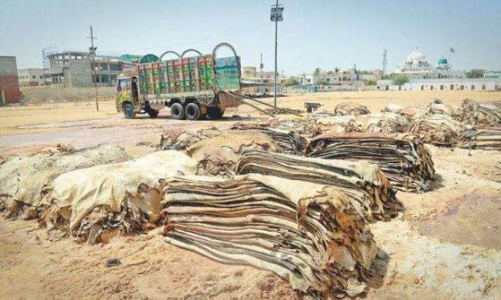 Banned outfits not allowed to collect animal hides 