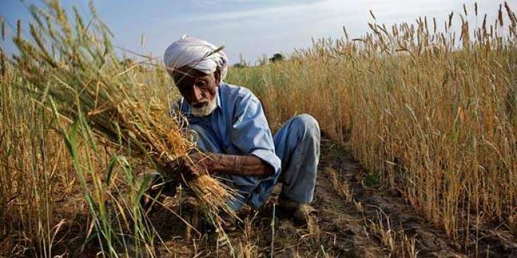 Rs 23 bn interest free loans to be given to farmers: MPA 
