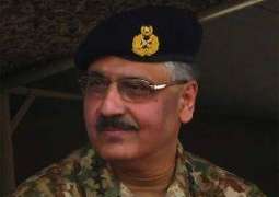 الرئيس الباكستاني يلتقى رئيس هيئة الأركان المشتركة للقوات المسلحة الباكستانية
