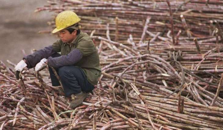 Sugar cane cess committee meeting on Nov 11