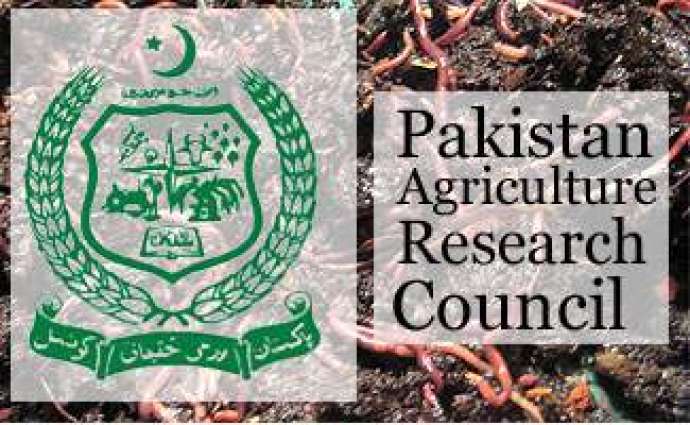 Pak-China agree to collaborate in tea research 
