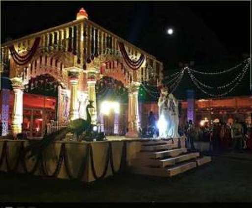Tycoon hosts big, fat Indian wedding amid cash crunch 
