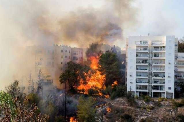 Hundreds evacuated as bushfires near Israel's Haifa 
