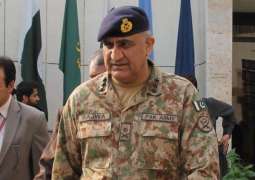 السفير الأمريكي المعتمد لدى باكستان يلتقي رئيس أركان الجيش الباكستاني