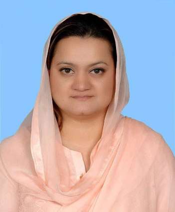 Quaid Week to be celebrated from Dec 19 to 25: Marriyum 