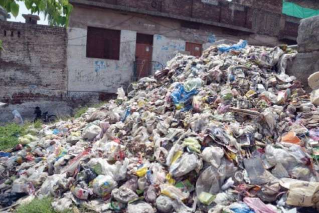 Action launched against use of polythene bags 