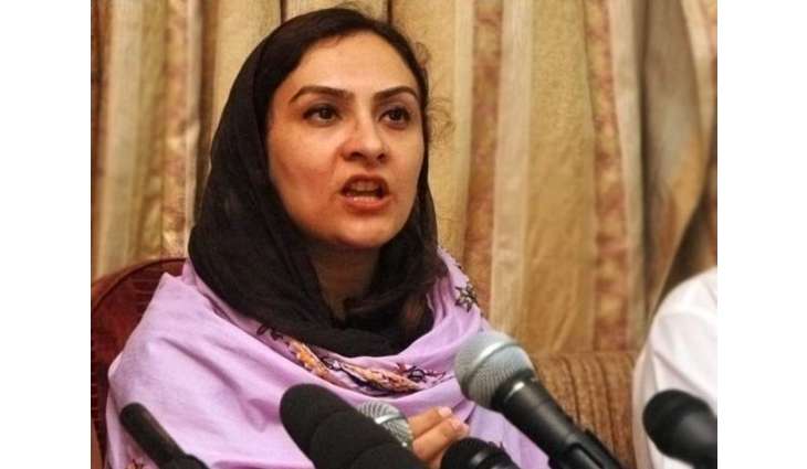 ماروی میمن نے (ن) لیگ چھڈ کے پیپلز پارٹی وچ رلت دا فیصلا کر لیااے: غلام حسین