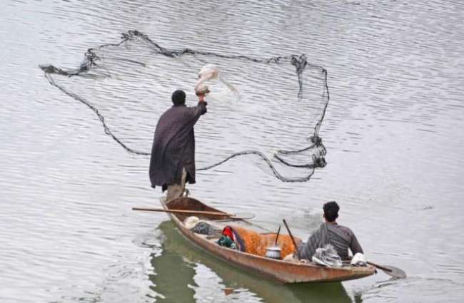 ملتان: شہری نے دریائے چناب چوں 50کلو بھاری مچھی پھڑ لئی