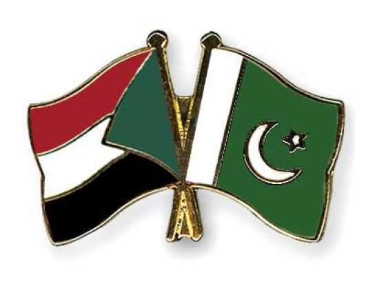 باكستان والسودان تعقدان الجولة الخامسة من المشاورات السياسية الثنائية لبحث السبل والطرق لتعزيز العلاقات الثنائية بينهما في مختلف المجالات