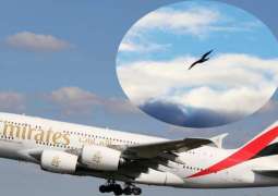 بھارت: کلکتہ ائر پورٹ اُتے ایمرٹس ائر لائن دے جہاز نوں حادثا، جہاز گراﺅنڈ کر دتا گیا