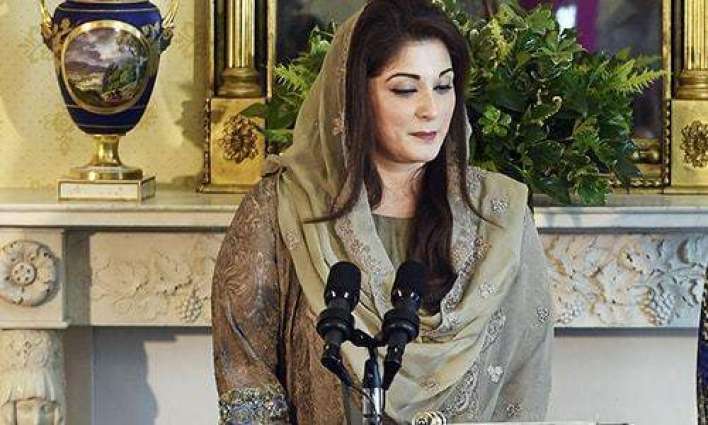 Statements about PM after the consultative meeting are untrue: Maryam Nawaz