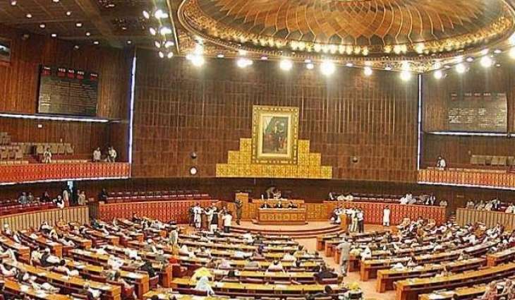 وفاقی دارالحکومت دیاں تریمت چیئر پرسن ، وائس چیئرپرسنز اتے لیڈی کونسلرزدا قومی اسمبلی دا دورہ، اجلاس دی کارروائی ڈٹھی