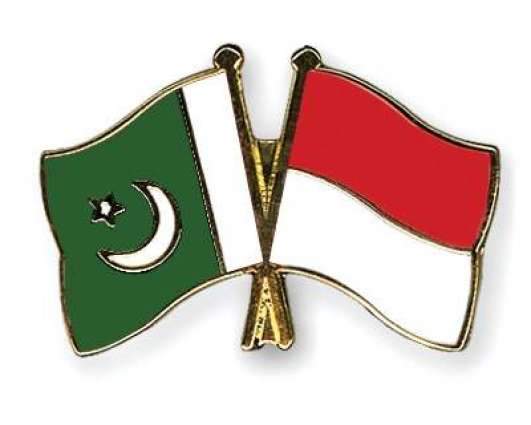 باكستان وإندونيسيا تتفقان على تعزيز التعاون الأمني والاقتصادي بينهما