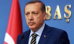 ترکی، سابق تریمت وزیر نویں جماعت بنڑا گھدی ،صدر طیب اردوان کوں چیلنج کرنڑ دا اعلان