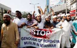 روہنگیا مسلماناں تے میانمار دی فوج دے تشدد دے خلاف امریکا اچ احتجاجی مظاہرہ