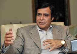 Punjab govt trying to take credit of projects launched by PML: Parvez Elahi