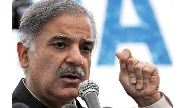 PML-N govt ended power crises, launched various development projects: Shehbaz Sharif