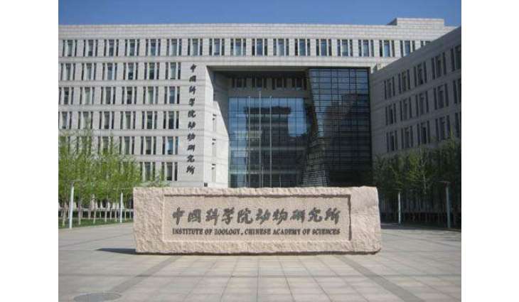 China develops female radiation virtual human