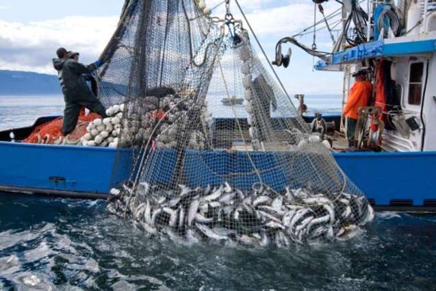 وسطی جاپان دے سمندر اچ مچھیریاں دی ترٹی بھجی بیڑی توں 8 لاشاں مل گین