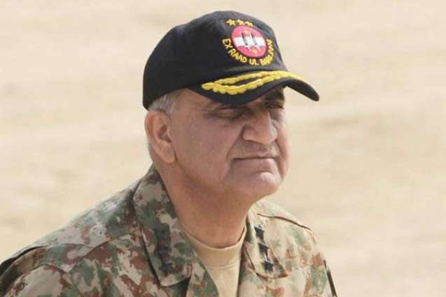 After clearing troubled areas, action being taken against disorganized terrorists: COAS