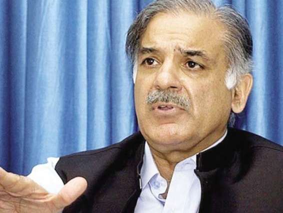 Int’l standard swimming complex developed, facilities being provided to players: Shahbaz