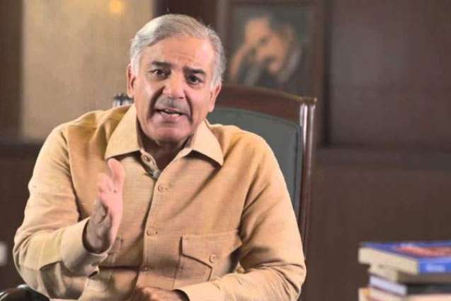 PML-N to respond to baseless allegations of opponents via public service: CM Shehbaz