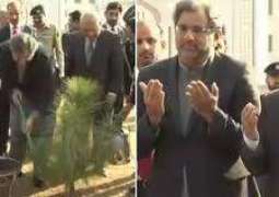 To Make Pakistan Green, PM Abbasi Launches Spring Tree Plantation